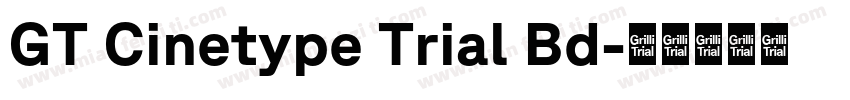 GT Cinetype Trial Bd字体转换